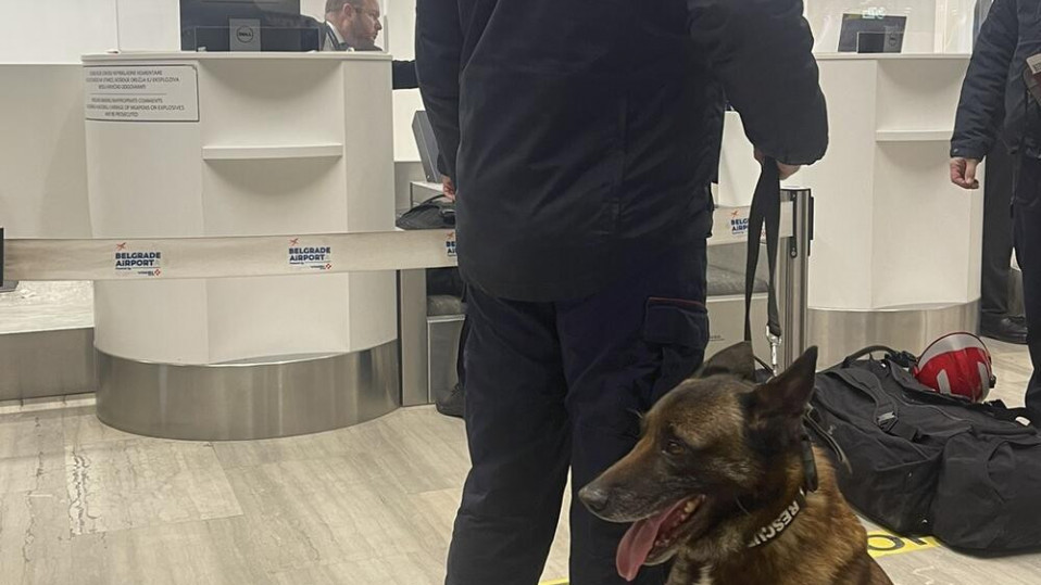 Srpski policijski pas Zigi krenuo da spasava ljude u Turskoj