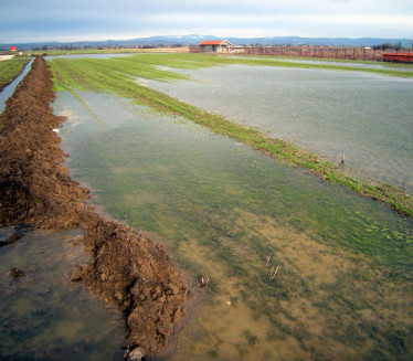 РХМЗ УПОЗОРАВА: Могуће изливање река у овим деловима СРБ