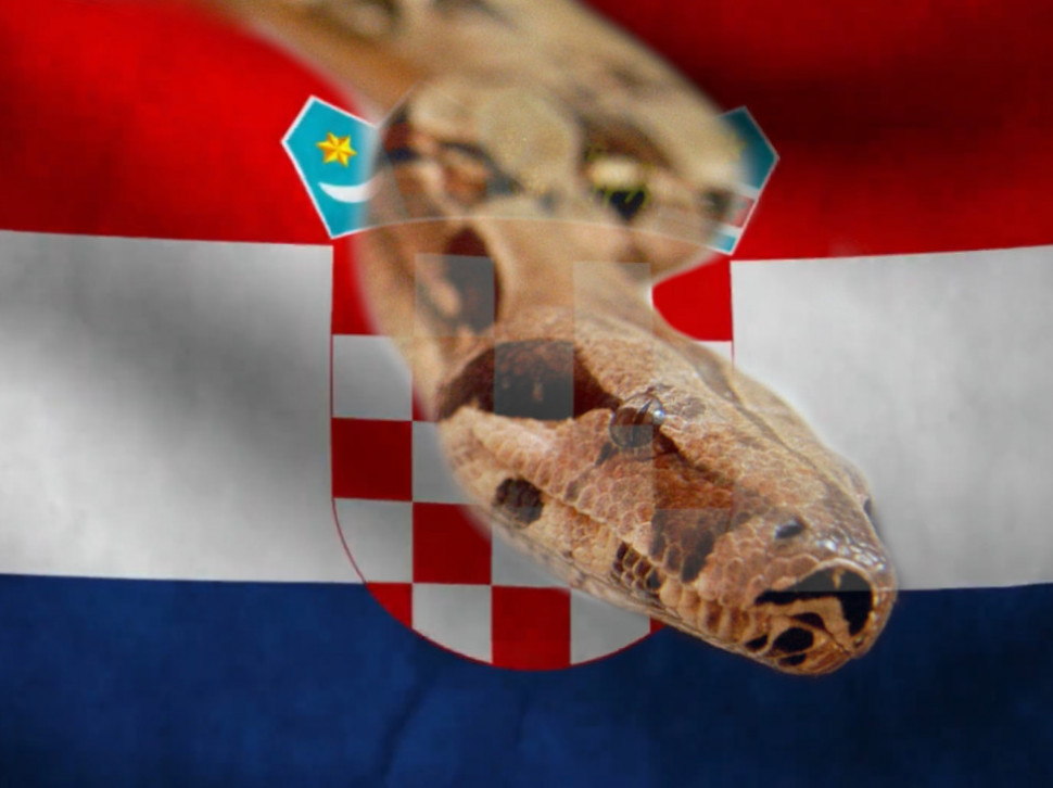 UPOZORENJE: Najotrovnija evropska zmija snimljena u Hrvatskoj