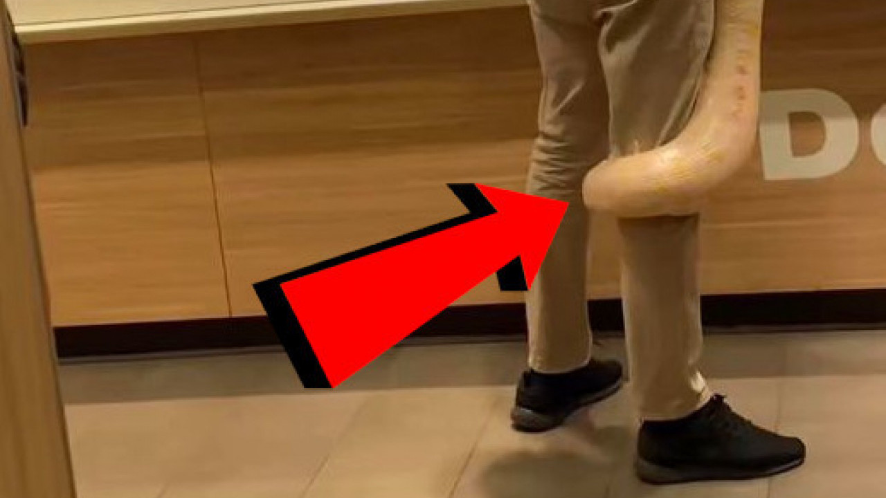 SCENA ZA SRČKU: Šta je čovek u Rumuniji doneo u restoran