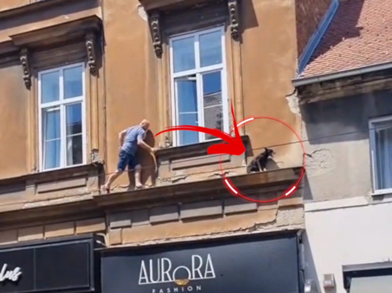 ХЕРОЈСКИ ПОДВИГ: Момак спасио пса док се фасада ломила ВИДЕО