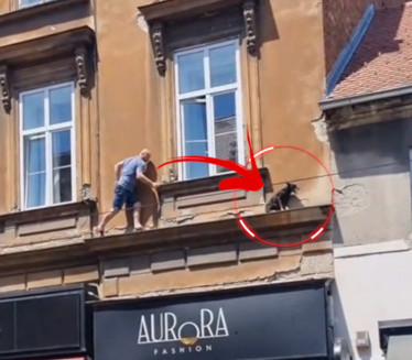 HEROJSKI PODVIG: Momak spasio psa dok se fasada lomila VIDEO