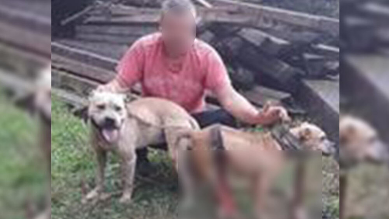 СВЕ КАЧИО НА ФЕЈС: Смедеревац ухапшен због убијања паса