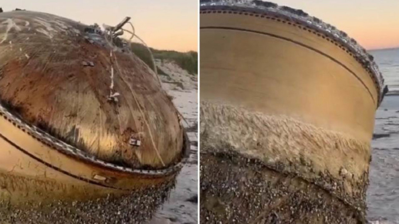 MISTERIJA REŠENA Otkriveno šta je isplivalo na plaži (VIDEO)