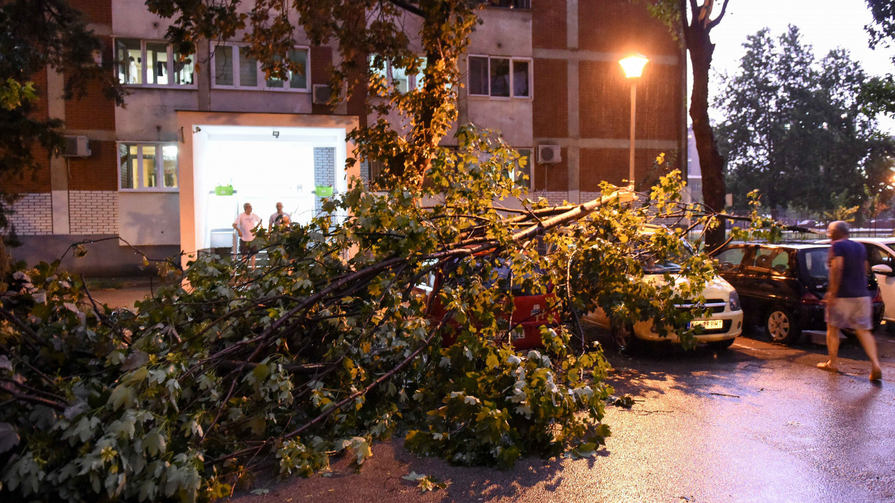 HITNO UPOZORENJE GRADA: Zatvaraju se svi parkovi zbog oluje