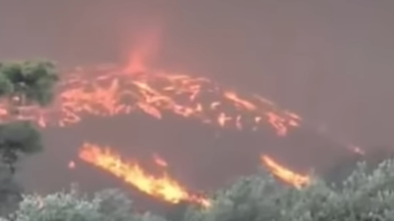 VATRENI TORNADO U GRČKOJ: Plamen guta brdo (VIDEO)