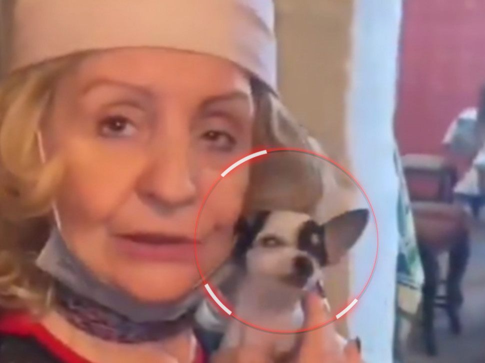 KAKO JE LEPU LUKIĆ UJEO PAS: Vrisak usred restorana (VIDEO)