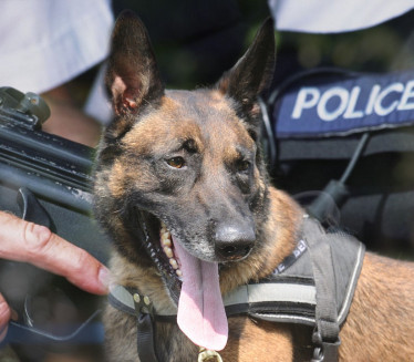 UPUCALI GA: Policajci ubili svog službenog psa