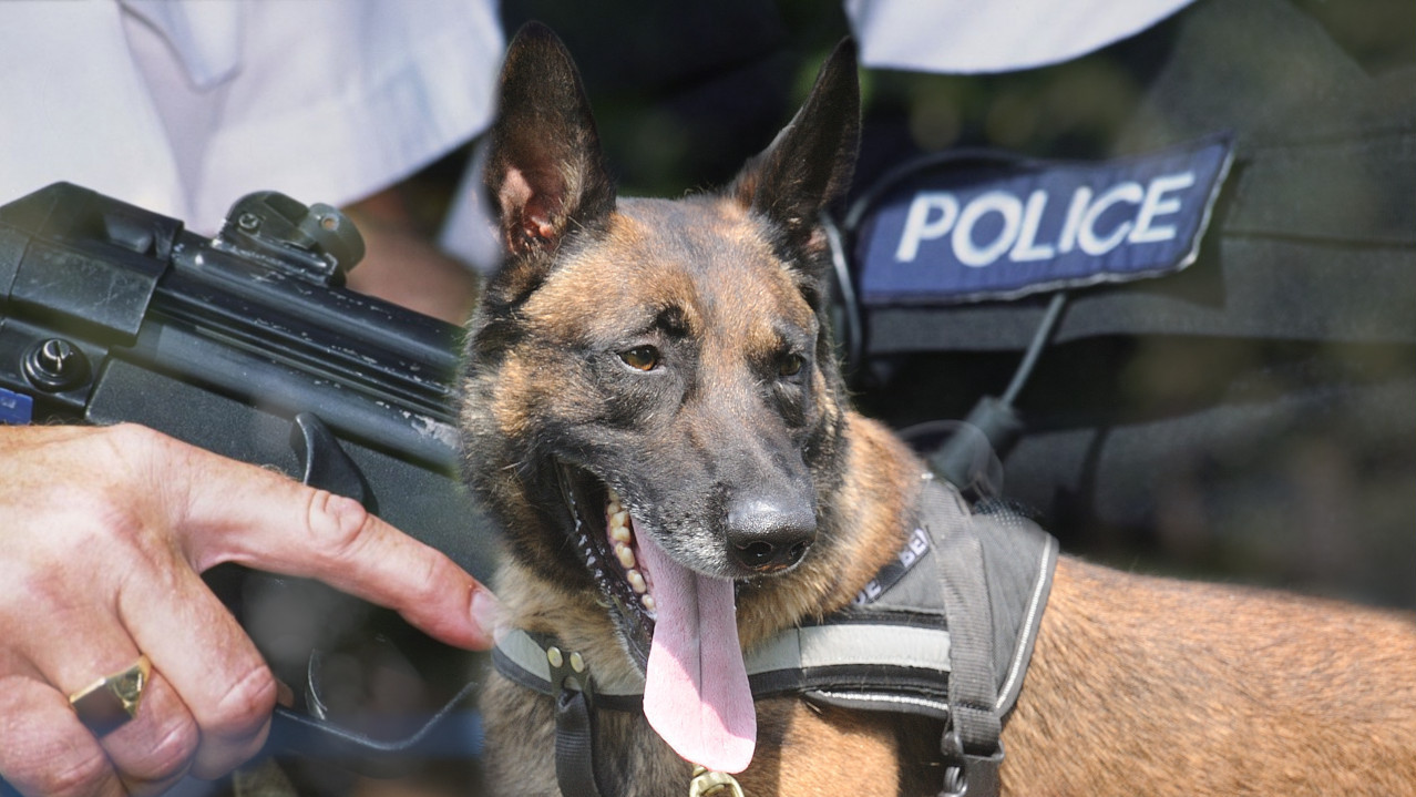 UPUCALI GA: Policajci ubili svog službenog psa