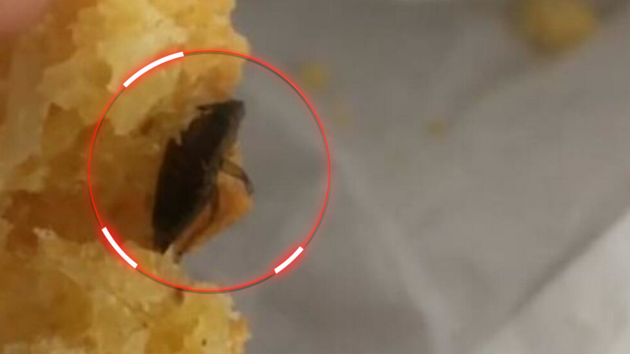 БУБА У ПРОЈИ Српкиња бесна-у оброку пронашла печеног инсекта