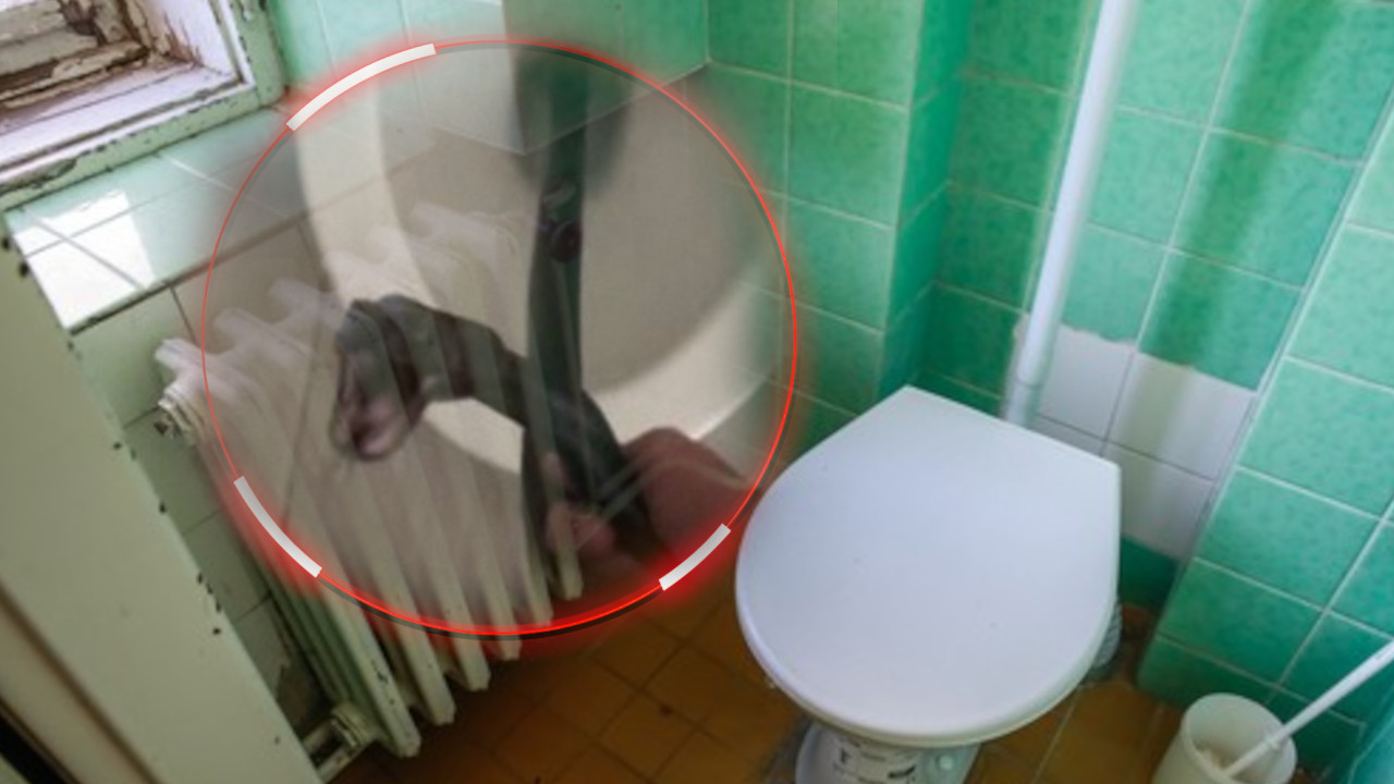 ZATEKLA ZMIJU U TOALETU: Borba sa gmizavcem trajala dva dana