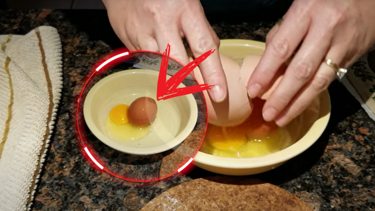 Zemunac nije mogao da veruje ŠTA je ispalo iz jajeta (VIDEO)