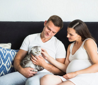 Da li mačke mogu da osete da ste trudni?