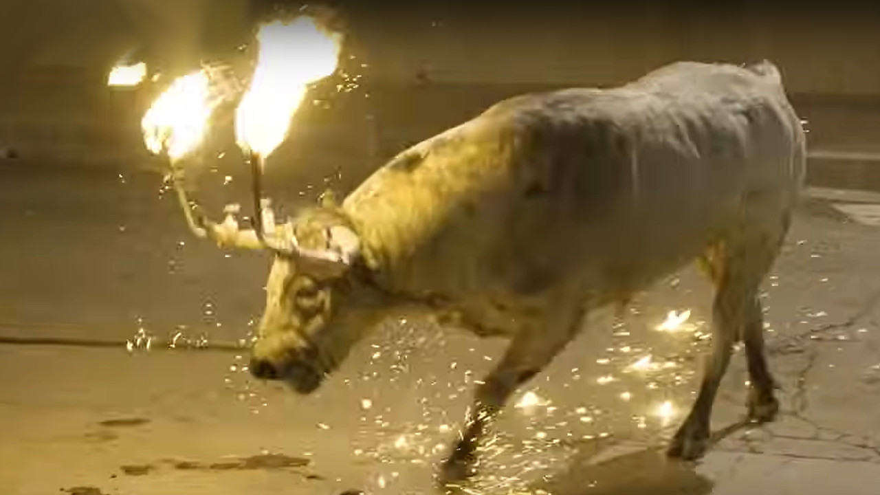 (УЗНЕМИРУЈУЋЕ) Запалили бику рогове - ужасан снимак мучења