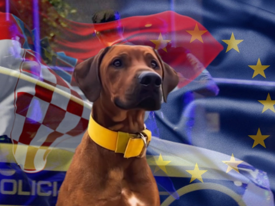 УЦЕЊИВАО ЖИВОТИЊУ: Хрват из Европског парламента СИЛОВАО пса