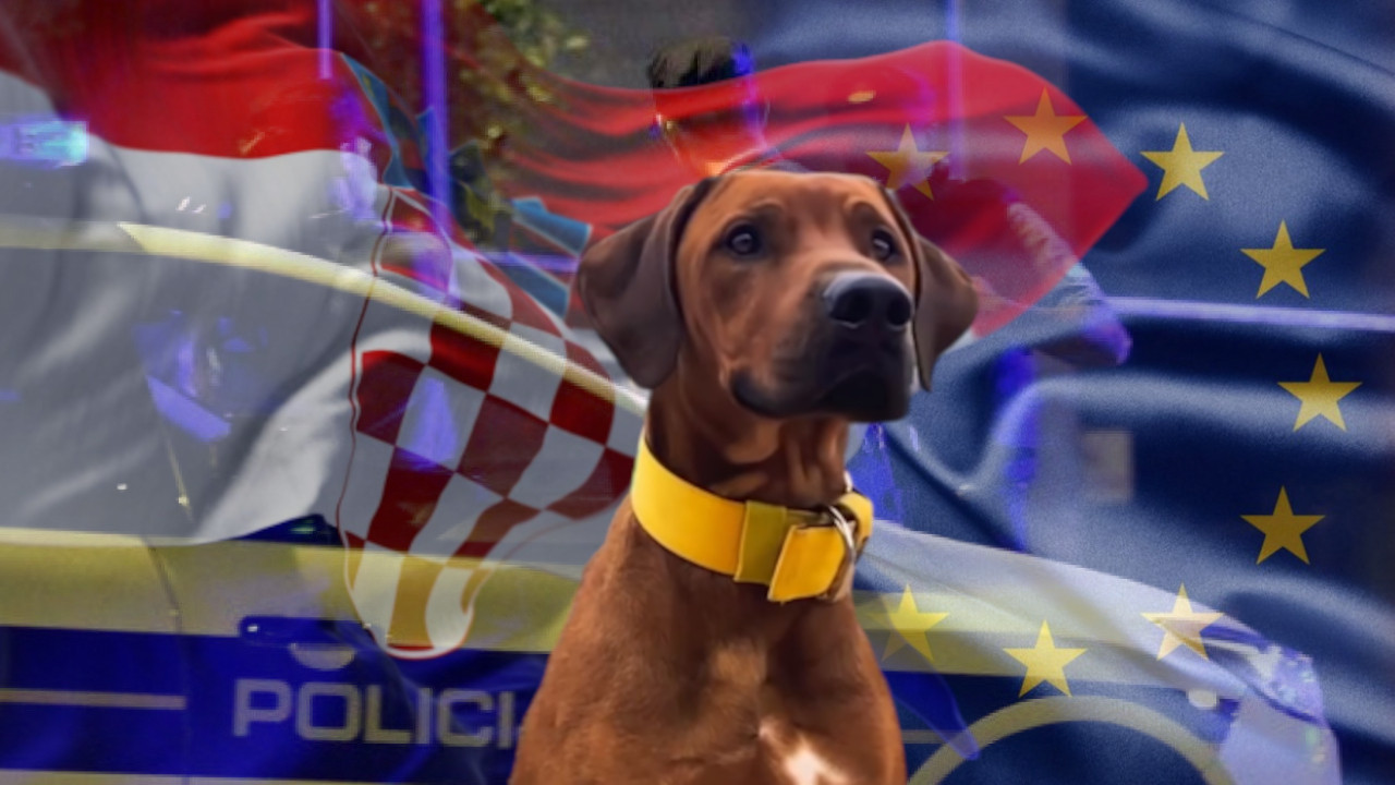 UCENJIVAO ŽIVOTINJU: Hrvat iz Evropskog parlamenta SILOVAO psa