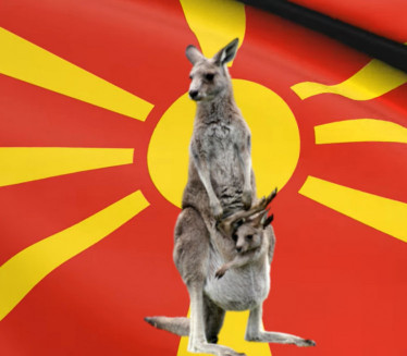 ТВИТ НАСМЕЈАО БАЛКАН: Шта ако кенгури нападну Македонију?