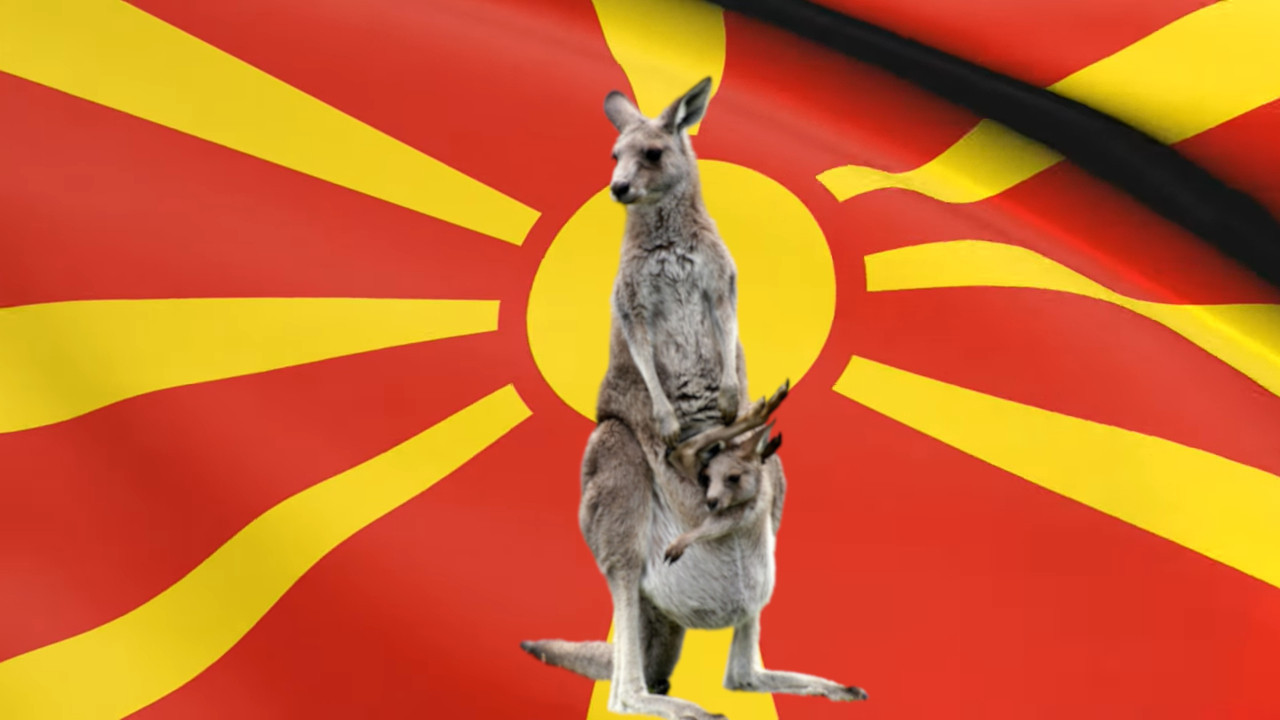 TVIT NASMEJAO BALKAN: Šta ako kenguri napadnu Makedoniju?