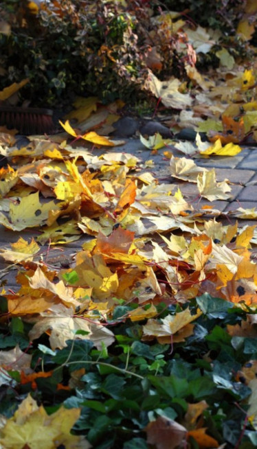 ЈЕСЕЊА ПРОГНОЗА: Ускоро јакне и џемпери, први снег у октобру