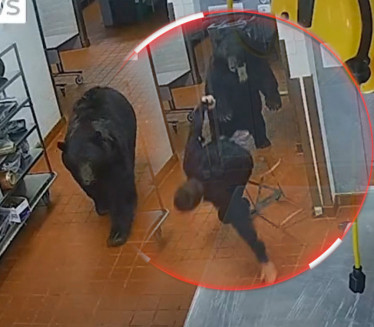 Medved upao u hotel, napao čoveka (VIDEO)