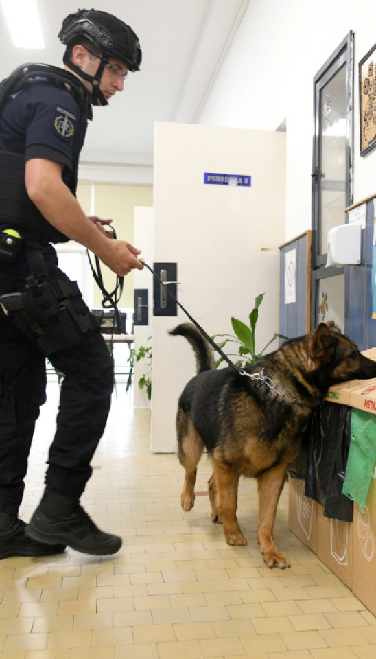 EVAKUISANA OSMA BEOGRADSKA GIMNAZIJA: Dojava o bombi