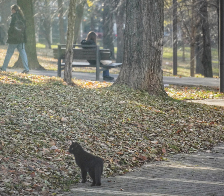 SMENA SUNCA I OBLAKA: Evo kakvo nas vreme očekuje