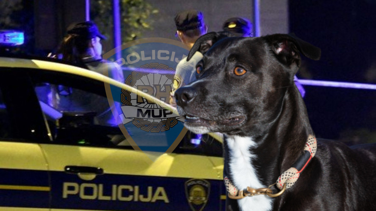POLICAJAC UBIO PSA: Životinja izdahnula, vlasnica privedena