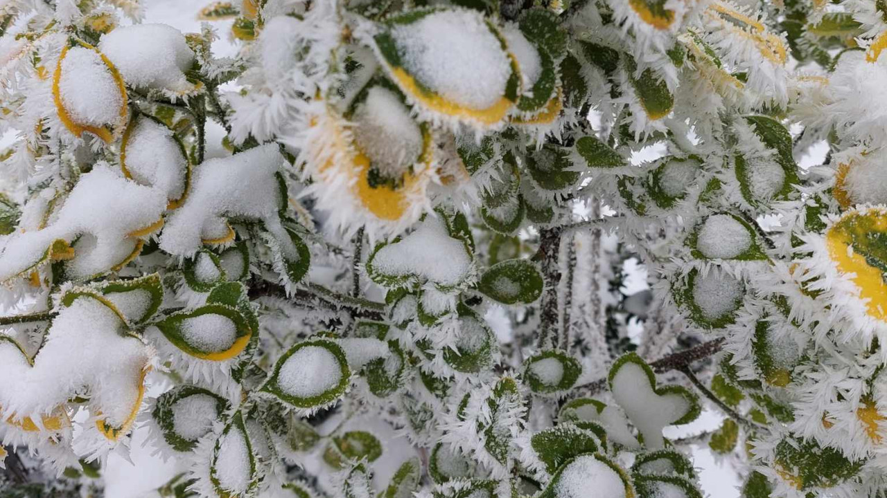 Сутра могућ снег у Србији - ево у којим деловима