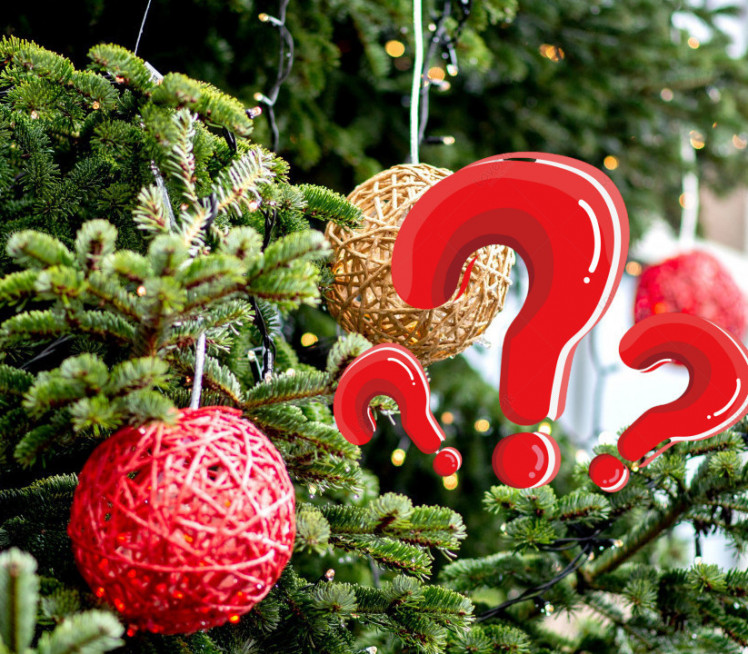 DONOSE SREĆU: Evo koje ukrase bi trebalo da stavite na jelku