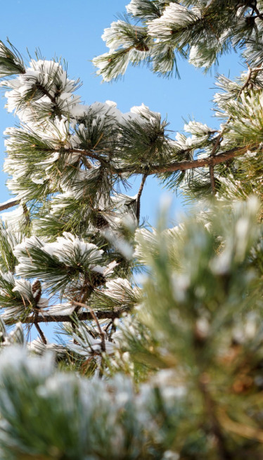 Danas sneg - pa temperature skaču do 20 stepeni