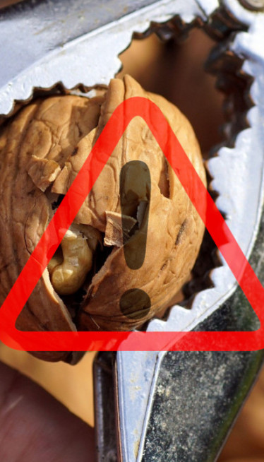 VRLO EFIKASNE: Zašto nikada ne treba bacati LJUSKE OD ORAHA?