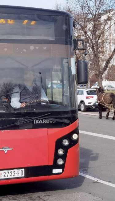 POVREĐENA I DECA: Nezgoda u gradskom autobusu na liniji 23