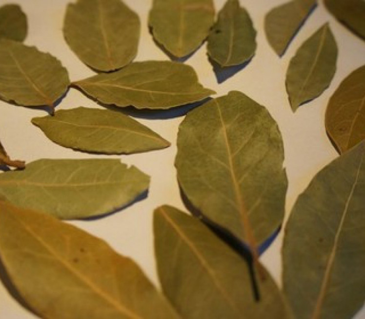 MORATE DA PROBATE: Vratite vešu boju lovorovim listom