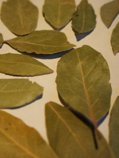 MORATE DA PROBATE: Vratite vešu boju lovorovim listom