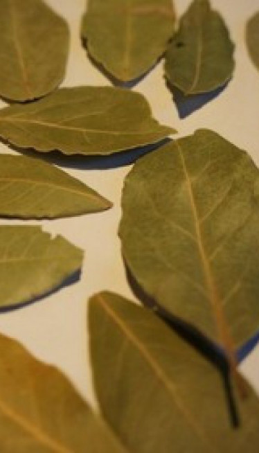 МОРАТЕ ДА ПРОБАТЕ: Вратите вешу боју ловоровим листом