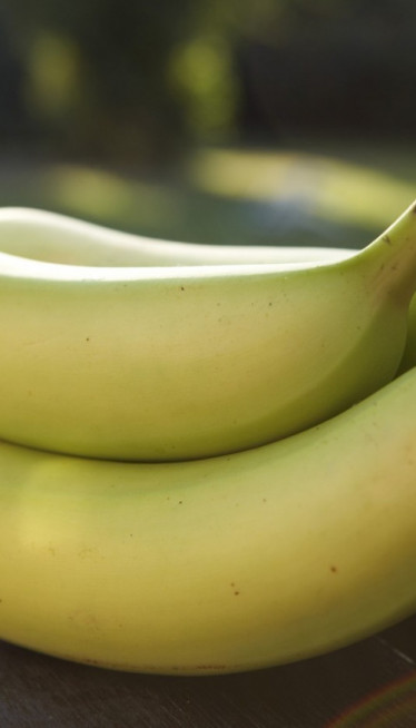 DA LI STE ZNALI? Banane zapravo NISU voće
