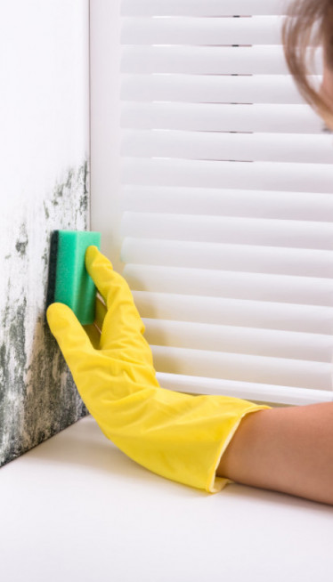 KAKO DA SE BUĐ NE VRAĆA: Efikasan trik za čišćenje