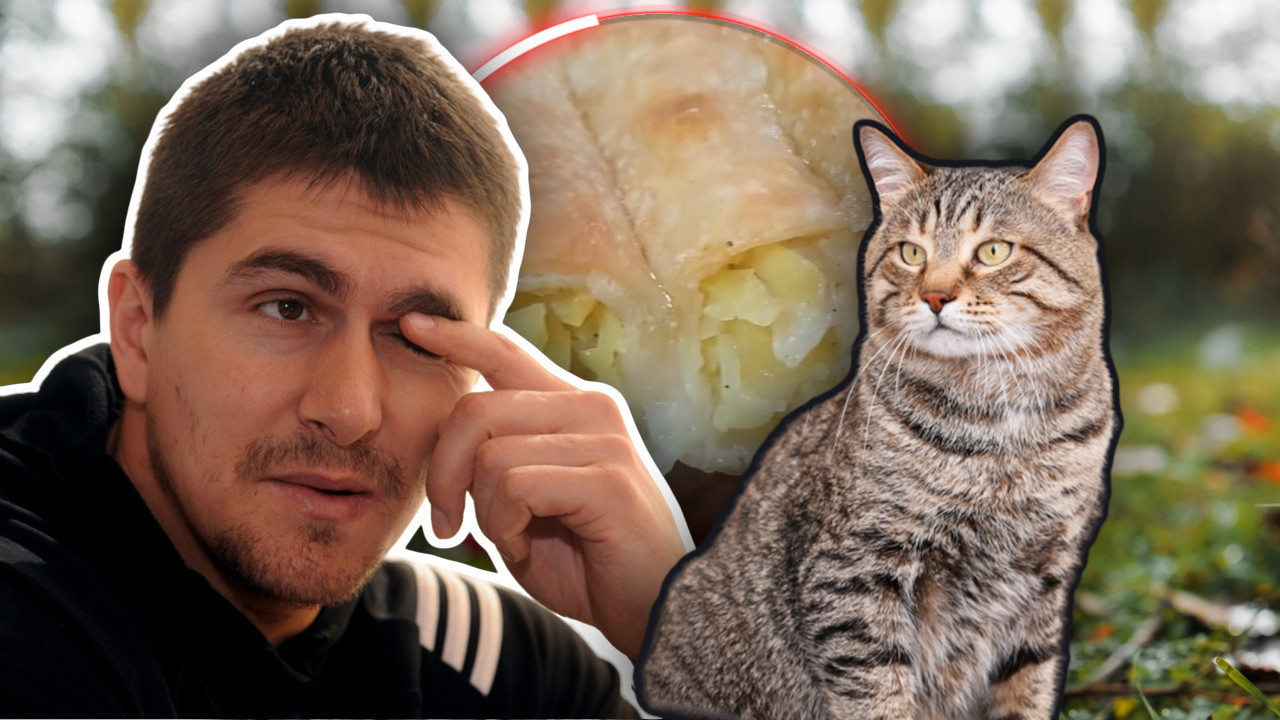 MILIČIĆ ŽELEO DA JE MAČKA: Objasnio zašto mrzi krompirušu