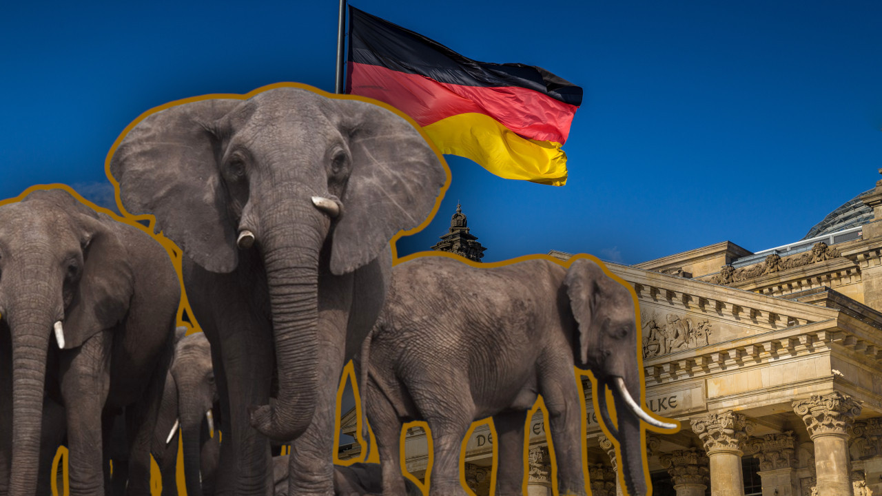 AFRIČKI LIDER ZAPRETIO NEMCIMA: Poslaćemo vam 20.000 SLONOVA