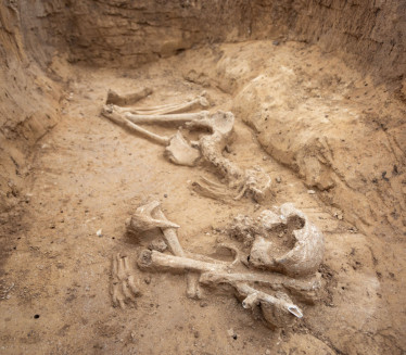 NAĐEN SKELET RATNIKA IZ BRONZANOG DOBA: Visok 2m,nosio koplje