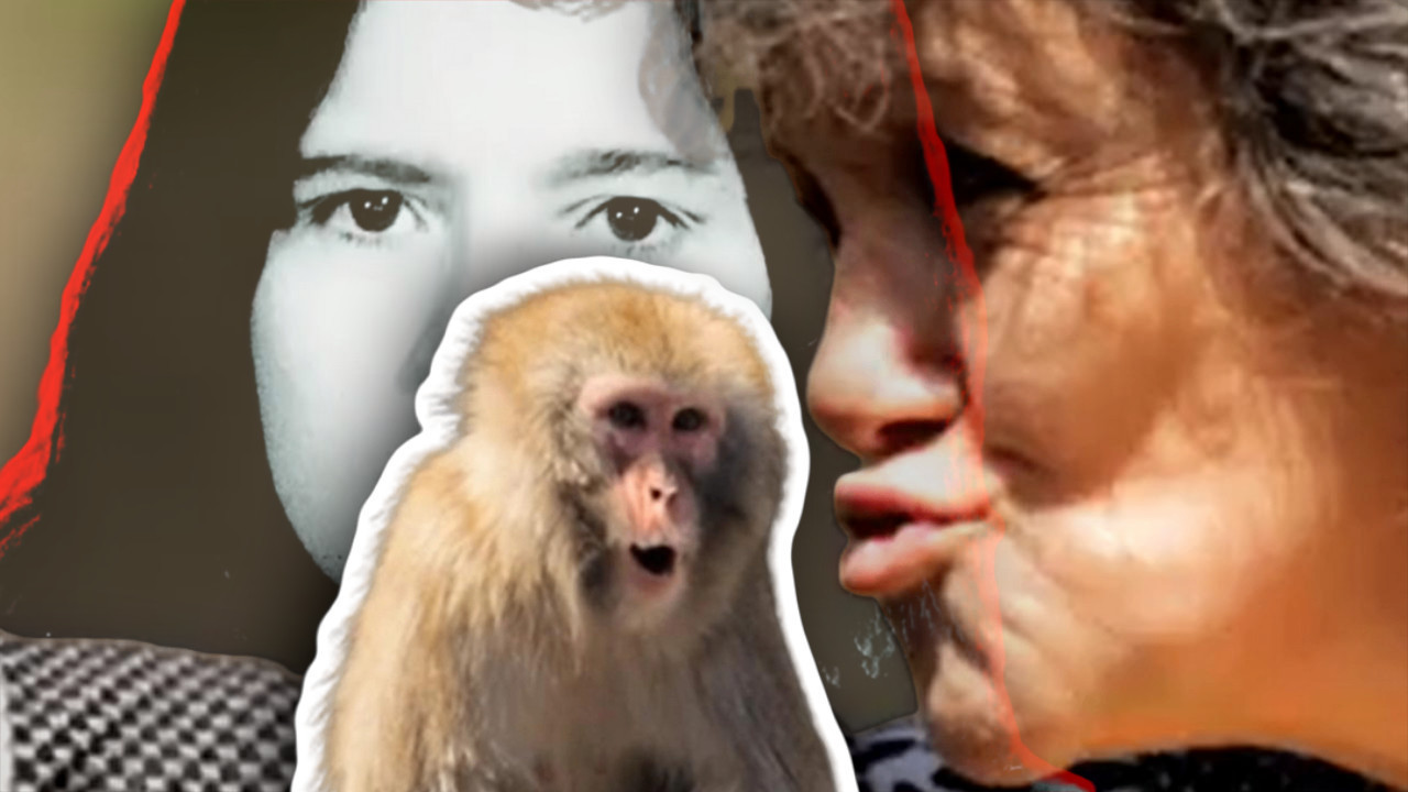 VIDITE JE SAD Odgajali je majmuni,užas kad se VRATILA ljudima