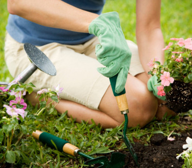 PREPORODITE VAŠE BILJKE Namirnice za bujne cvetove i zelenilo