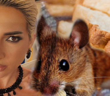 "ТО РАДИ КОНКУРЕНЦИЈА": Драгану убацили живог миша у хлеб