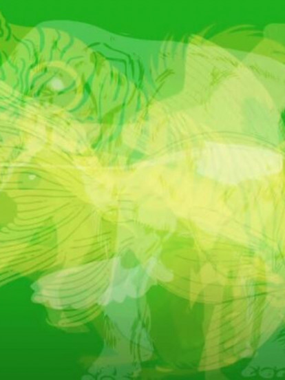 Životinja koju si prvo ugledao određuje tip tvoje LIČNOSTI