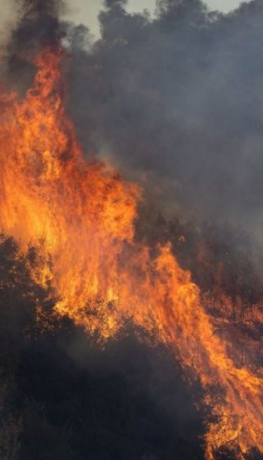 VATRA KULJA NA SVE STRANE: Požar pored auto-puta u Leskovcu