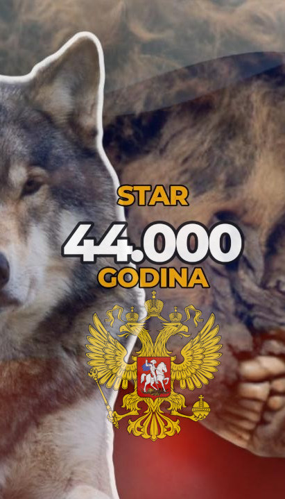 NEVEROVATNO: U Rusiji pronađen vuk star 44.000 godina (FOTO)