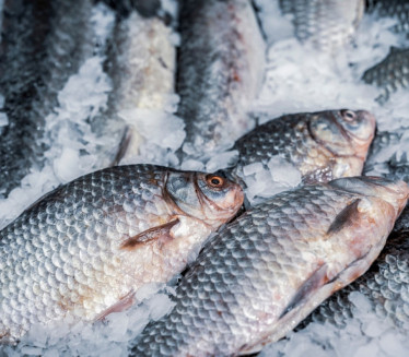 МОЖЕ ПОМОЋИ У БОРБИ ПРОТИВ СТАРЕЊА: Која риба је најздравија