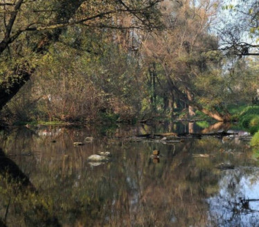 Ово је најчистија река у Србији - у самом врху Европе