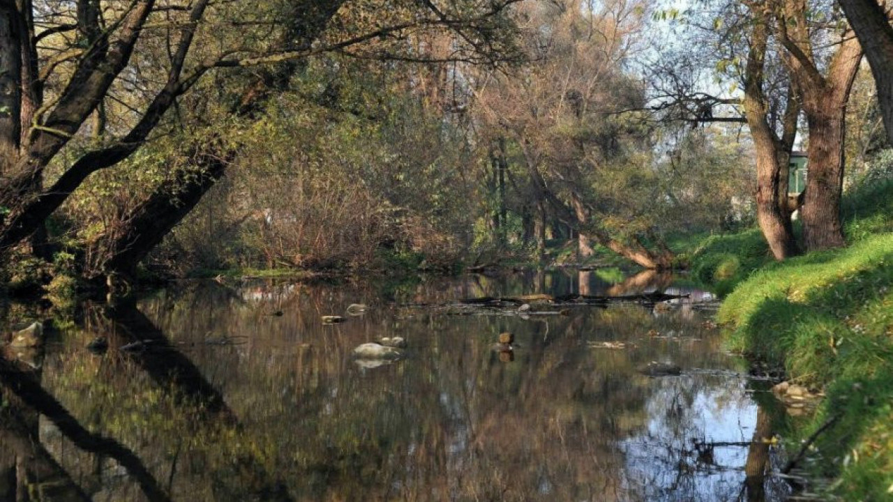 Ovo je najčistija reka u Srbiji - u samom vrhu Evrope