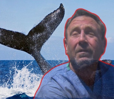 MRAK, STEZANJE: Ispovest čoveka koga je progutao kit